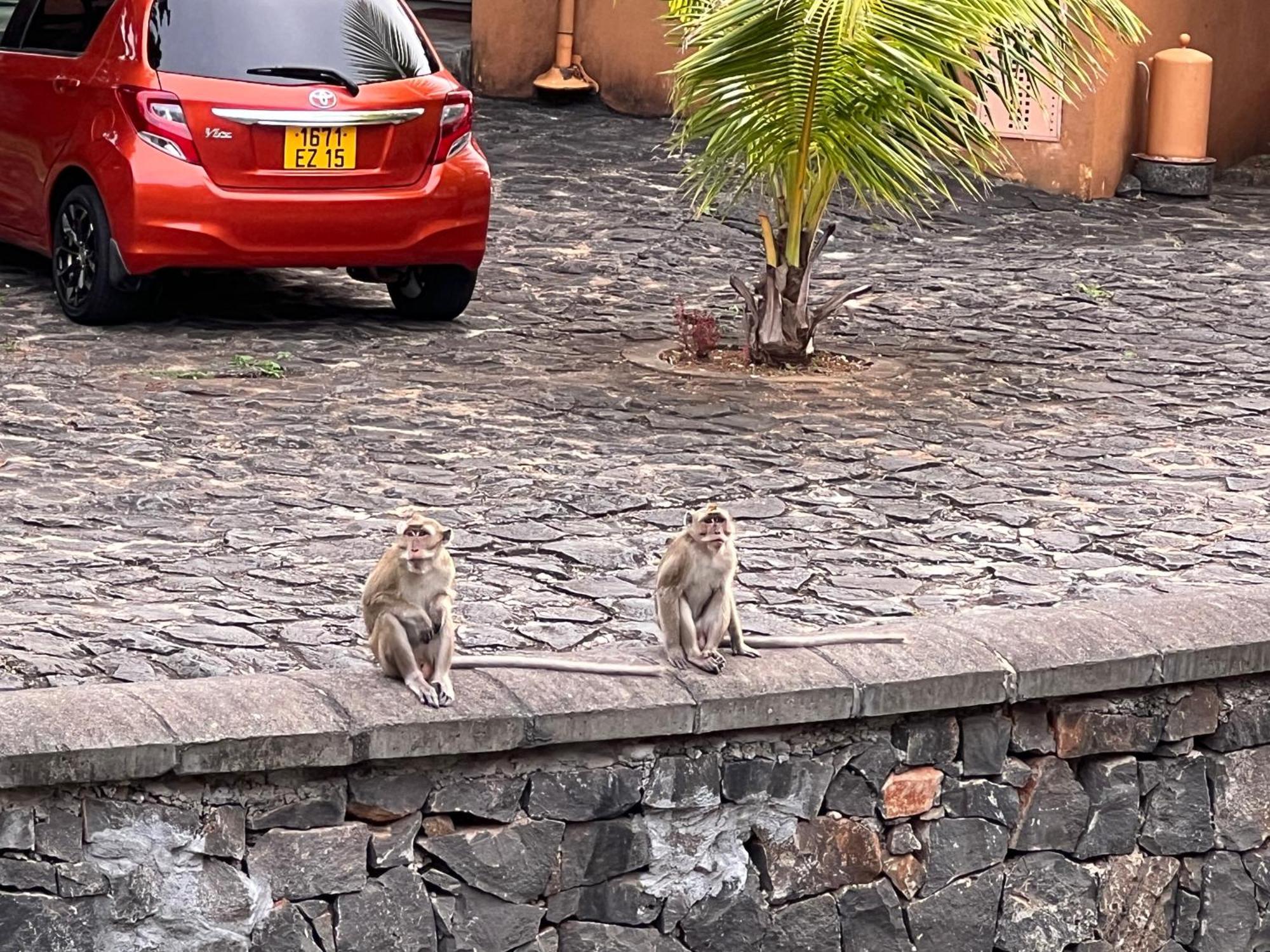 Villa In Port Chambly ,Mauritius Terre Rouge  Eksteriør bilde